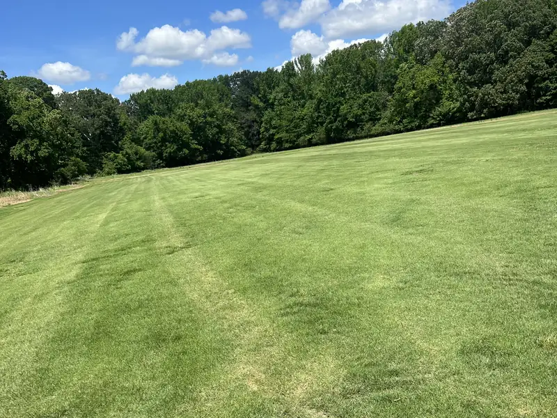 Zeon Zoysia sod field at Paramount Sod Farm, Hernando MS